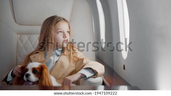 Portrait of cute preteen girl travelling\
with cocker spaniel dog by commercial airplane. Adorable child with\
pet sitting in first class jet flying\
alone