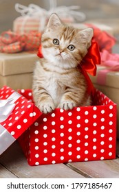 Portrait Of A Cute Redhead Kitten With A Bow In A Gift Box