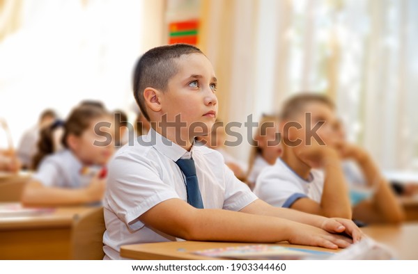 Portrait of cute schoolboy at workplace with his\
classmates behind. Children attending a class in the classroom at\
the elementary school. Student boy doing test in primary school\
during the lesson