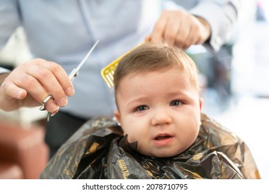 Portrait Of Cute Small Baby Boy In Barber Shop Getting His First Haircut. Infant Boy Scared And Crying During Hairdresser Cutting His Hairs. Hairdressers Hands Making Hairstyle For 8 Month Child Boy.