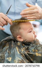 Portrait Of Cute Small Baby Boy In Barber Shop Getting His First Haircut. Infant Boy Scared And Crying During Hairdresser Cutting His Hairs. Hairdressers Hands Making Hairstyle For 8 Month Child Boy.