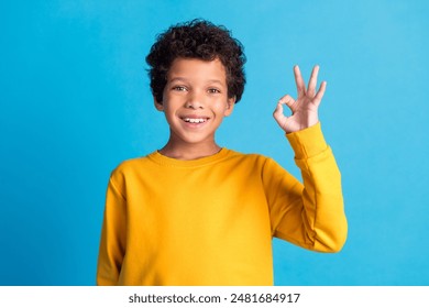 Portrait of cute small schoolkid okay symbol wear pullover isolated on blue color background - Powered by Shutterstock