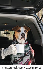 Portrait Of A Cute Staffordshire Terrier In Blanket With A Tin Coffee Mug Sitting In A Car Trunk. Camping, Exploring Nature, Travelling With Dogs Scene