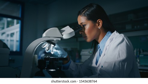 Portrait of dark skin female scientist is analyzing a sample to extract the DNA and molecules with microscope in laboratory. - Powered by Shutterstock