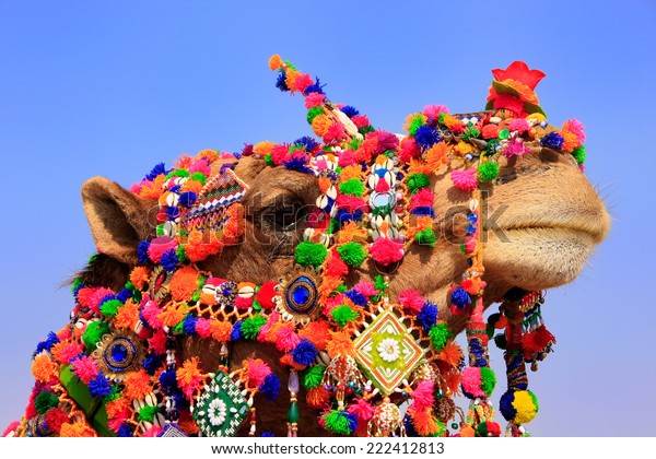 Portrait Decorated Camel Desert Festival Jaisalmer Stock Image