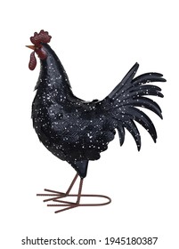 Portrait of a decorative rooster on a white background
