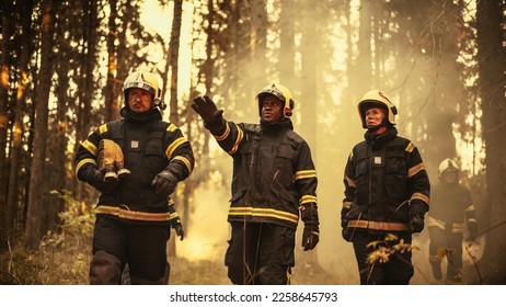 Portrait of a Diverse Group of Brave Wildfire Hotshots Walking in a Smoke-Filled Forest, Strategizing on Unsmarting the Terrifying Natural Force of a Raging Wildland Fire Deep in the Woods. - Shutterstock ID 2258645793