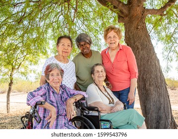 Portrait Of Diverse Senior Lady Friends  Outside