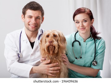 Portrait Of Dog With Two Smiley Veterinarians