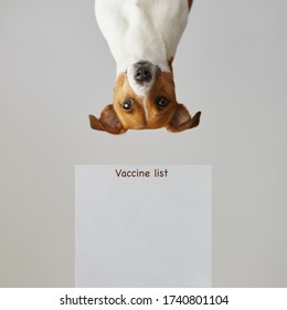 Portrait of a dog upside down with dog vaccination information form. Dog vaccine . vaccine template. Dog with placard. banner template. gift certificate