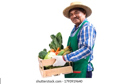 Portrait of elderly Asian farmer holding a wooden crate full of fresh vegetables isolated on white background. Clipping path - Powered by Shutterstock