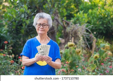 A portrait of an elderly woman hands holding $100 amount of $500 dollars while standing in a garden. Selective focus. Space for text.