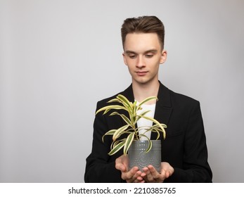 Portrait Of Elegant Young Man Wearing Black  Suit Holding Potted House Plant. Studio Shot On Gray Background