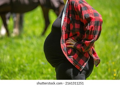 Portrait Equestrians Pregnant Belly Front Horse Stock Photo 2161311251