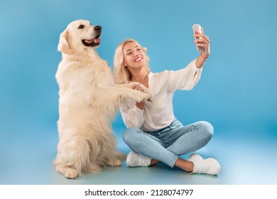 Portrait of excited beautiful caucasian blonde woman taking selfie with her happy labrador, posing looking at gadget camera, holding mobile phone and dog's paw, isolated on blue studio background wall