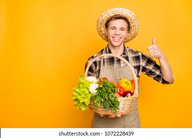  Portrait of excited joyful pleasant confident kind greengrocer with toothy smile isolated background - Powered by Shutterstock