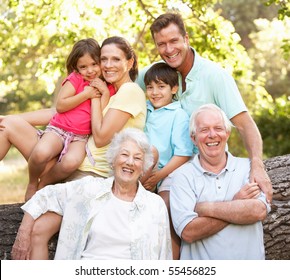 Portrait Of Extended Family Group In Park