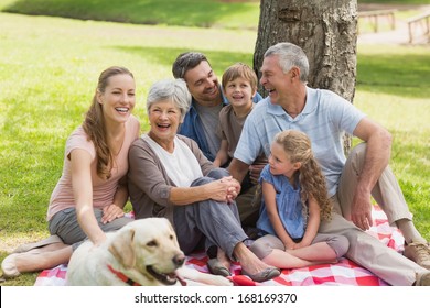 Portrait of an extended family with their pet dog sitting at the park