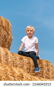 Portrait of fair-haired boy in white T-shirt on pile of dry hay on blue sky background. Summer holidays. Harvesting