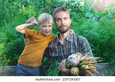 Portrait Of Family Picking Seasonal Vegetables Carrots And Turnips From Local Garden. Father And Son Harvesting Crops Together. Sustainable Living, Permaculture, Homesteading.