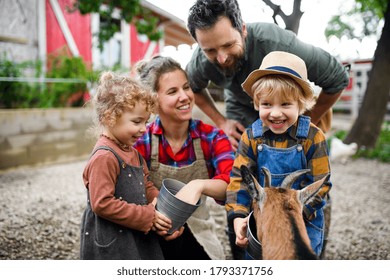 Portrait Of Family With Small Children Standing On Farm, Feeding Goat.