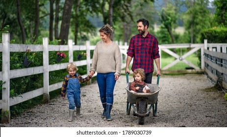 Portrait Of Family With Small Children Walking On Farm.