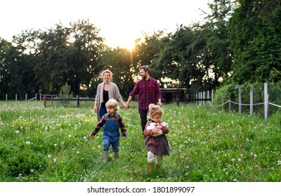 Portrait Of Family With Small Children Walking On Farm, Resting.