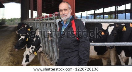 portrait of a farmer with cows