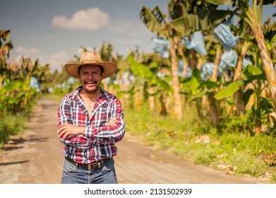 Portrait Of A Farmer In The Middle Of A Banana Plantation In The Tropics Of America.