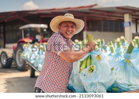 Portrait of a farmer putting bananas on a tractor.