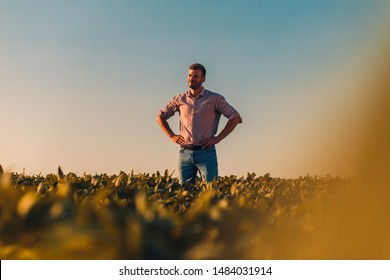 Portrait Of Farmer Standing In Soybean Field At Sunset.