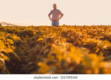 Portrait Of Farmer Standing In Soybean Field At Sunset.