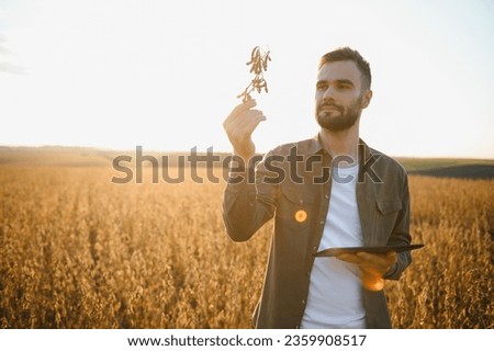 Portrait of farmer standing in soybean field at sunset