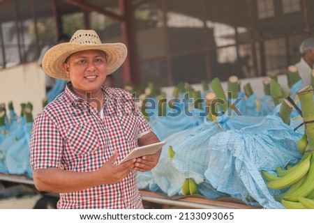 Portrait of a farmer using an electronic device to check the quality of export fruits. ストックフォト © 