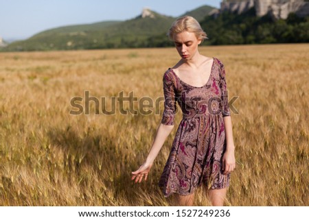 portrait of a fashionable woman in a dress in a field of rye