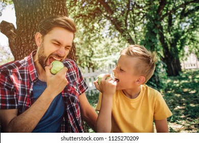 Portrait Of Father And Son Sitting Together And Eating Apples. Guy Is Biting Piece Of Fruit With Eyes Closed. Kid Is Looking At Him And Biting An Apple Too.