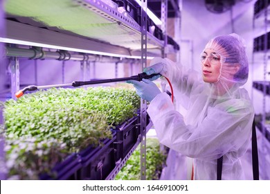 Portrait of female agricultural engineer spraying fertilizer while working in plant nursery greenhouse lit by blue light, copy space