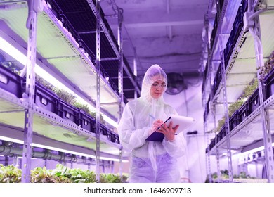 Portrait of female agricultural engineer writing on clipboard while standing between shelves in plant nursery greenhouse lit by blue light, copy space - Powered by Shutterstock