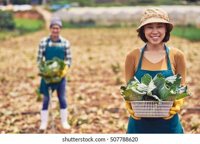 Portrait of female Asian farmer with basket of cabbage