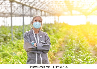 Portrait Of A Female Farmer Standing In A Greenhouse And Wearing Her Protective Mask Against Covid 19