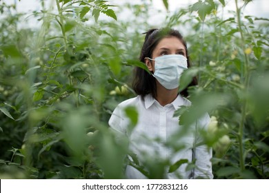 Portrait Of A Female Farmer Standing In A Greenhouse And Wearing Her Protective Mask Against Covid 19