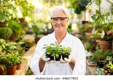 Portrait of female scientist holding plants at greenhouse - Powered by Shutterstock