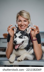 Portrait Of Female Veterinarian Specialist Holding Ears Of Purebred Siberian Husky Dog.