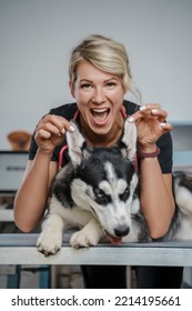 Portrait Of Female Veterinarian Specialist Holding Ears Of Purebred Siberian Husky Dog.