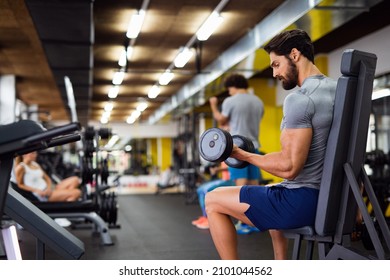 Portrait Of Fit Man Working Out In Gym. Sport People Healthy Lifestyle Exercise Concept