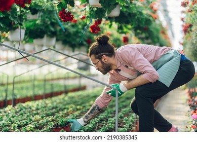 Portrait Of A Florist Man Holding Flower Pot While Working In A Plant Nursery. Plantation Of Flowers On Background. Gardening, Profession And People Concept. Copy Space.