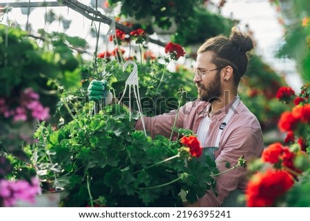 Portrait of a florist man holding flower pot and adjusting drip irrigation system while working in a plant nursery. Plantation of flowers in the background. Gardening, profession and people concept.