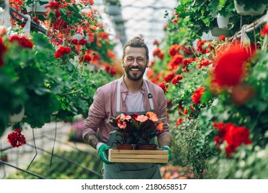 Portrait Of A Florist Man Holding Wooden Crate Full Of Flower Pots While Working In A Plant Nursery. Plantation Of Flowers On Background. Gardening And People Concept. Wearing An Apron And Gloves.