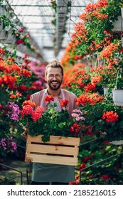 Portrait Of A Florist Man Holding Wooden Crate Full Of Flower Pots While Working In A Plant Nursery. Plantation Of Flowers In The Background. Gardening And People Concept. Looking Into The Camera.