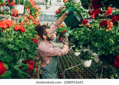 Portrait of a florist man watering hanging flowers with a watering can while working in a plant nursery. Plantation of flowers in the background. Gardening, profession and people concept. - Powered by Shutterstock